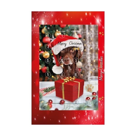 Picture of Bubimex Festive Advent Calendar for Cats